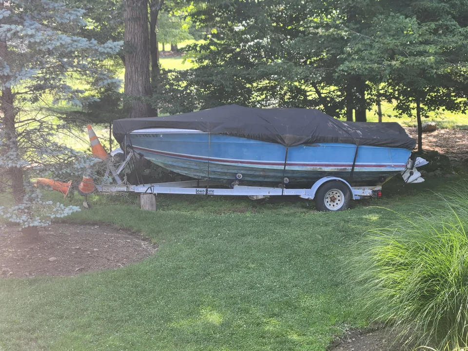 Covered blue-striped boat on a trailer beneath tall trees