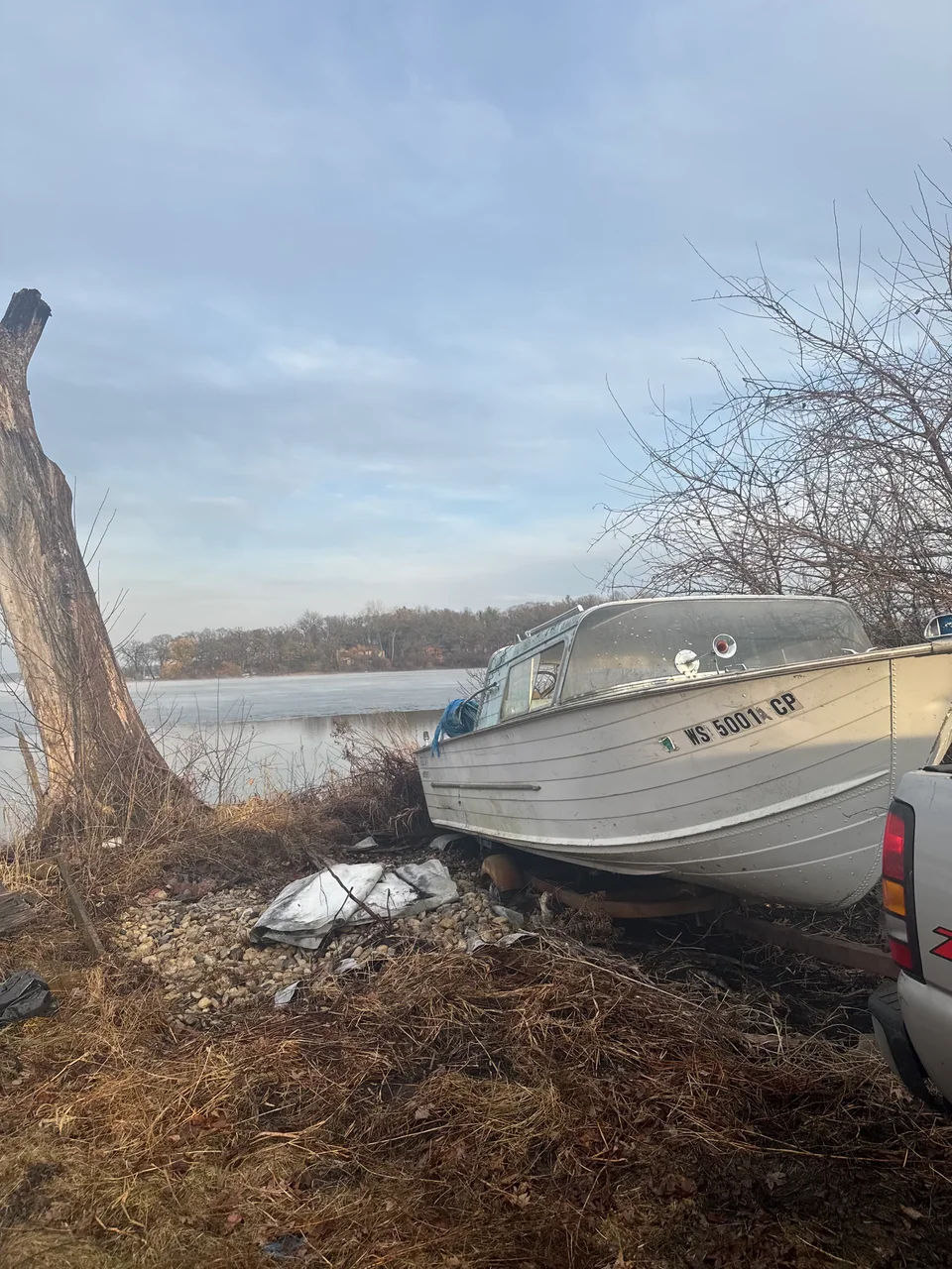Pale motorboat beside a large tree near the shoreline