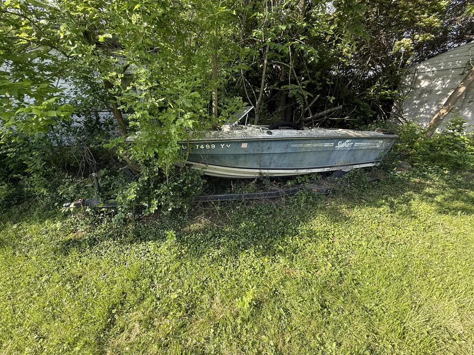 Small weathered hull partly surrounded by dense garden vegetation